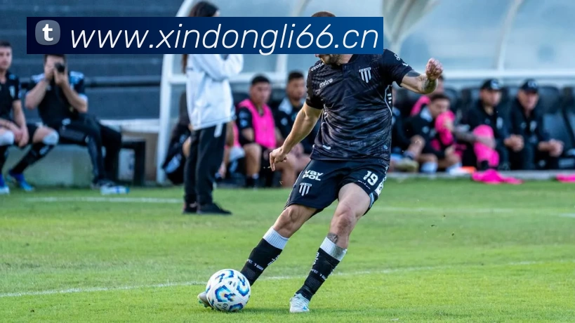 App Interface Preview