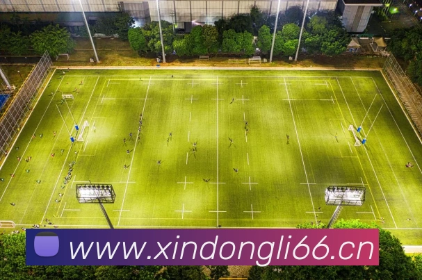 数据防护可视化